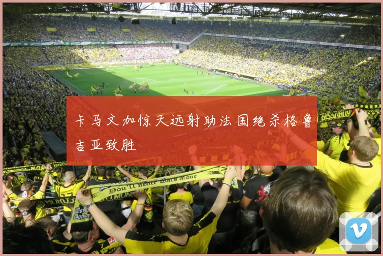 卡马文加惊天远射助法国绝杀格鲁吉亚致胜