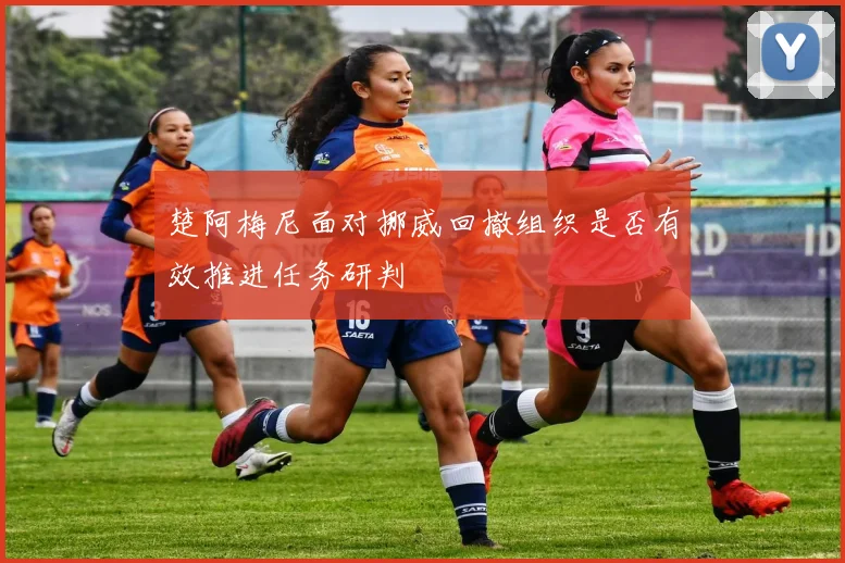 楚阿梅尼面对挪威回撤组织是否有效推进任务研判