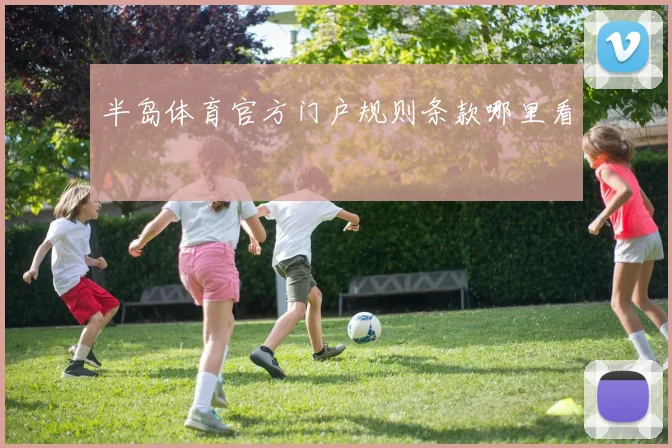 半岛体育官方门户规则条款哪里看