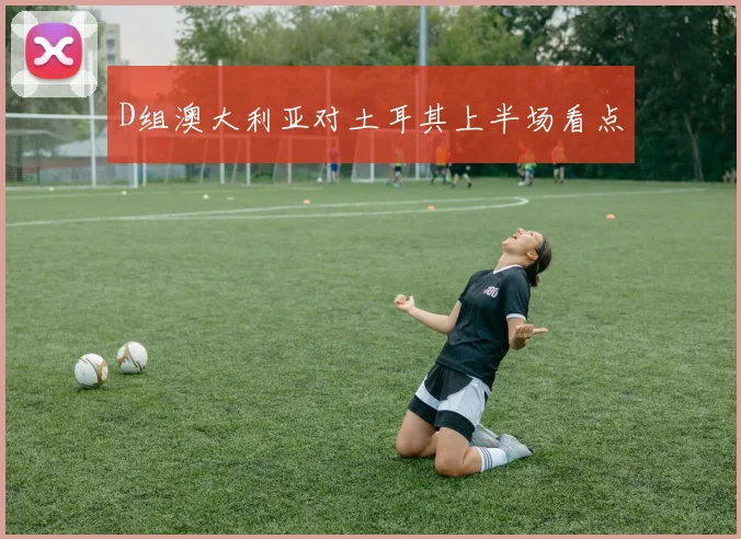 D组澳大利亚对土耳其上半场看点