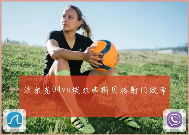 沙尔克04vs埃尔弗斯贝格射门效率