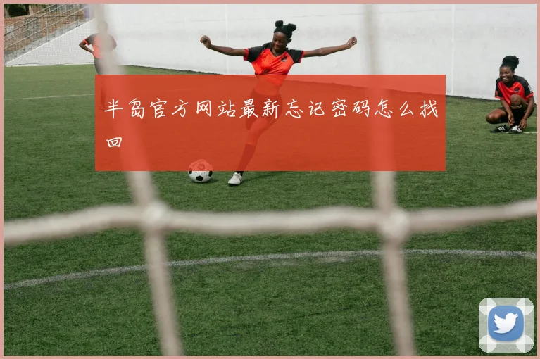 半岛官方网站最新忘记密码怎么找回